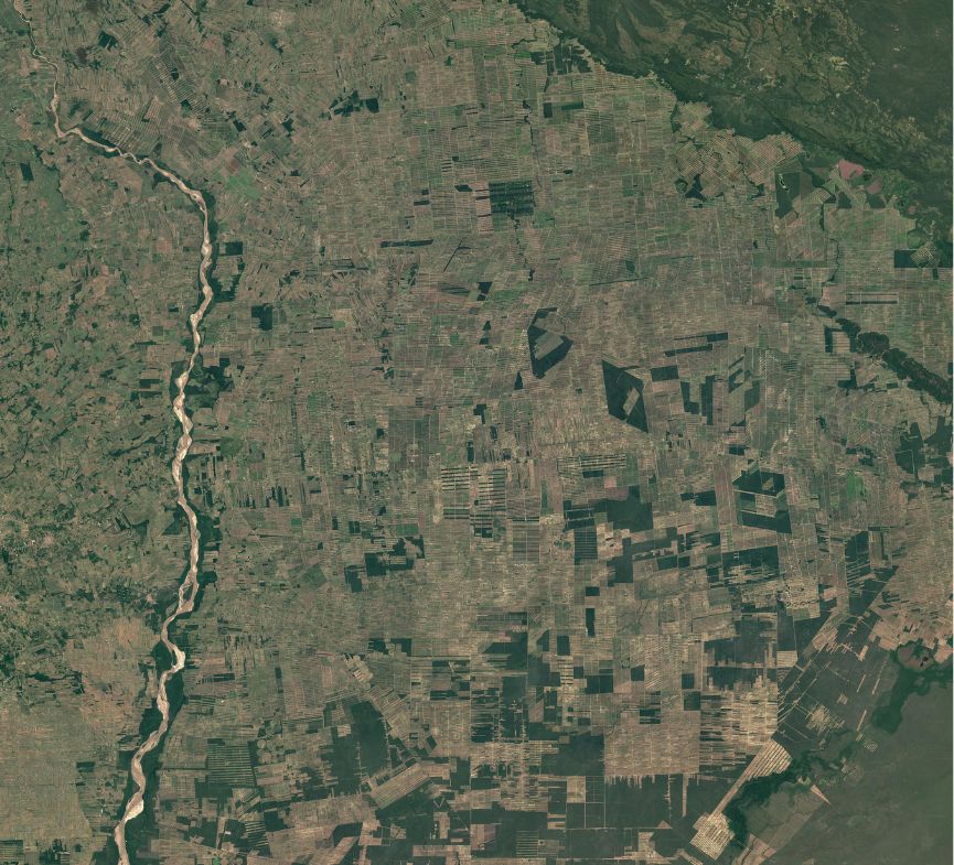 Bolivia deforestation Santa Cruz de la Sierra_2020.jpg